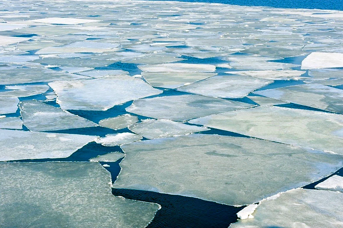 Лед на поверхности воды