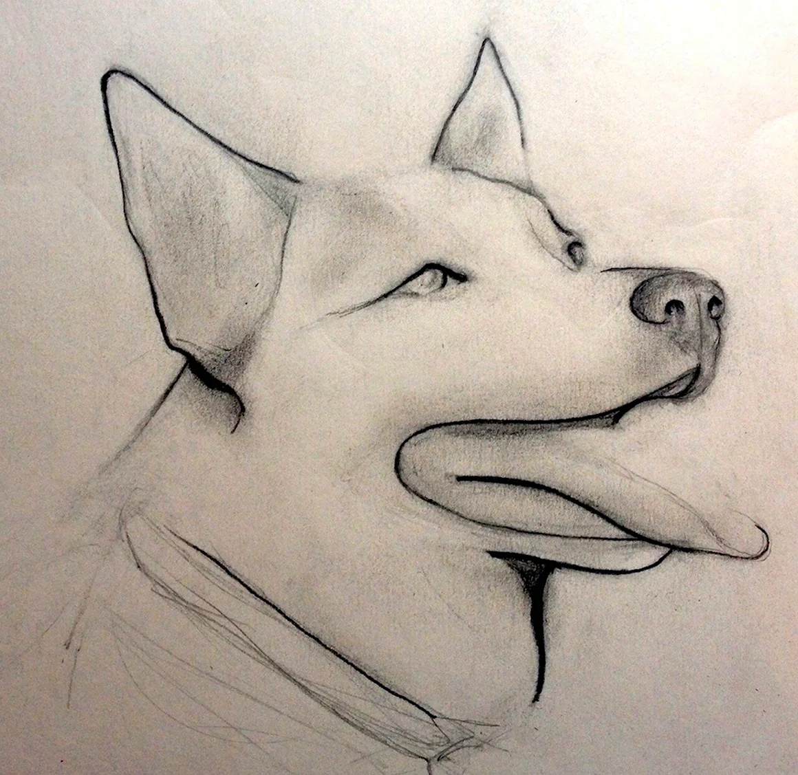 Легкие рисунки