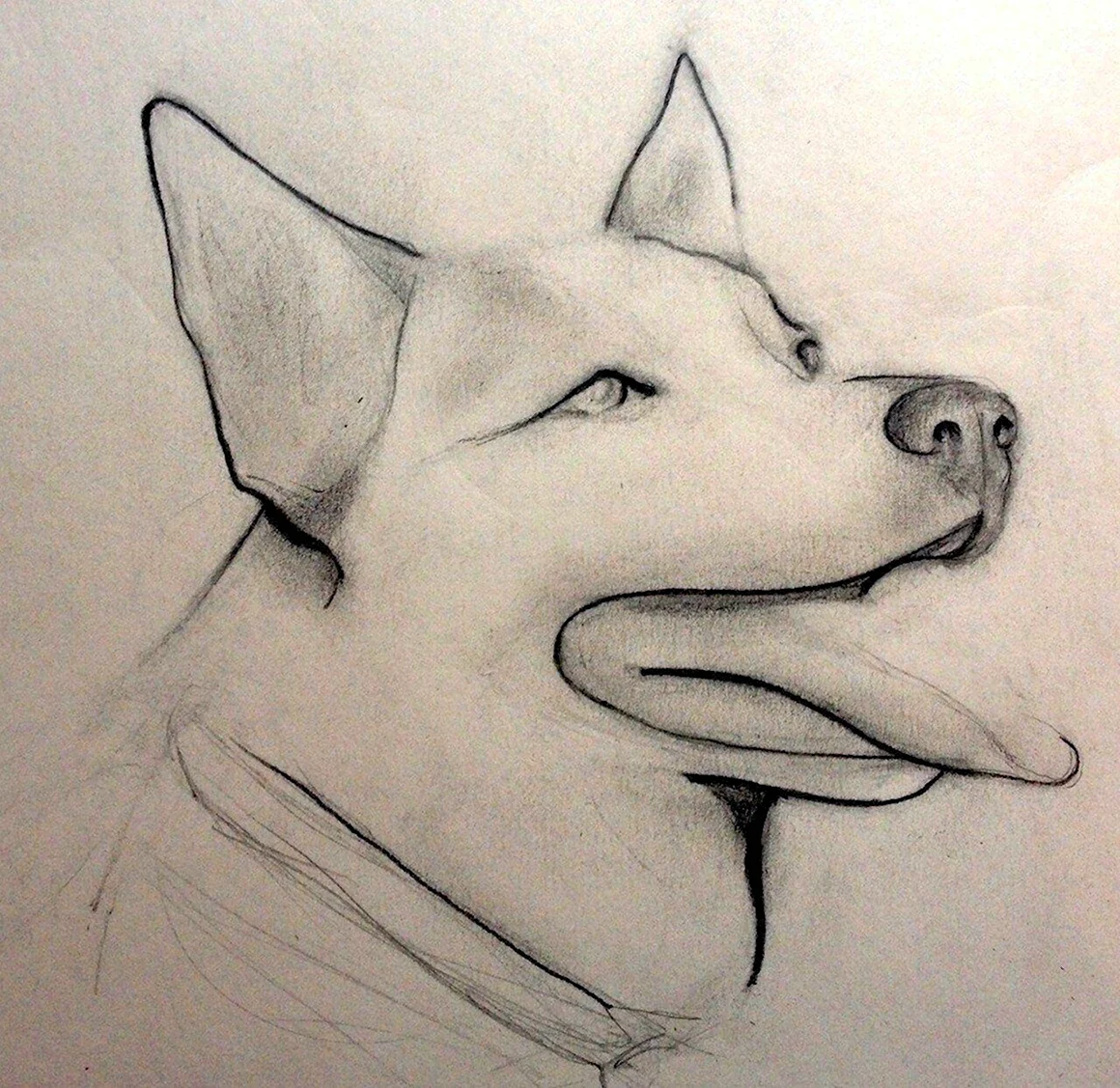 Легкие рисунки