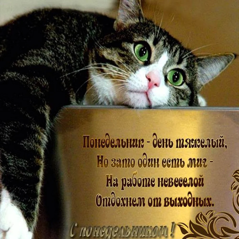 Лень вперёд родилась
