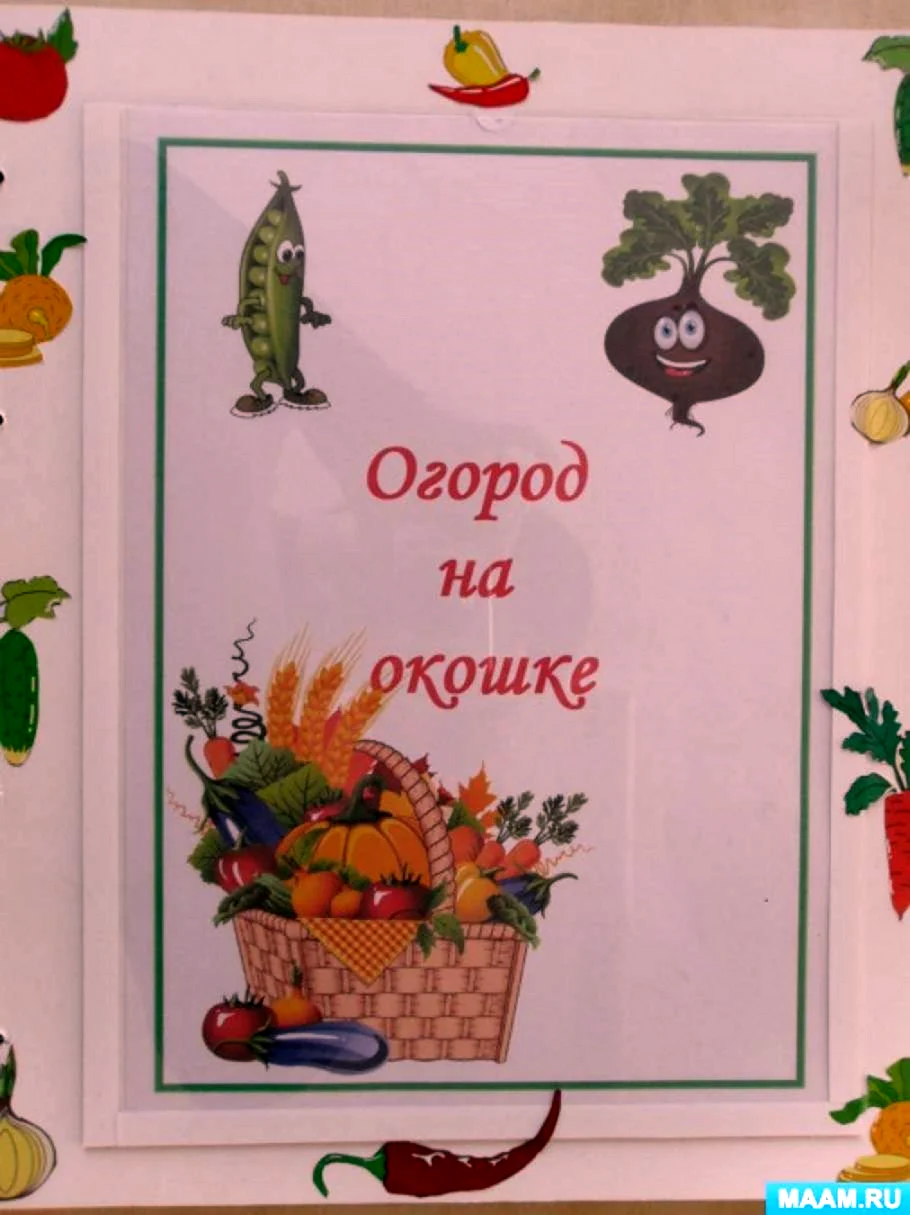 Лэпбук на тему огород на окне