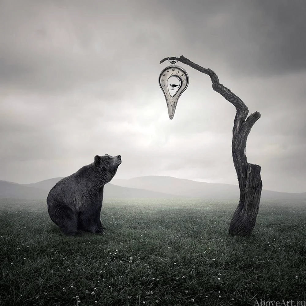 Лешек Буйновский Leszek Bujnowski