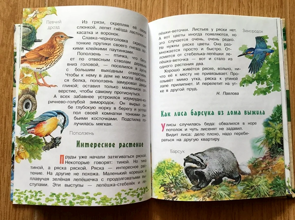Лесная газета Бианки в.