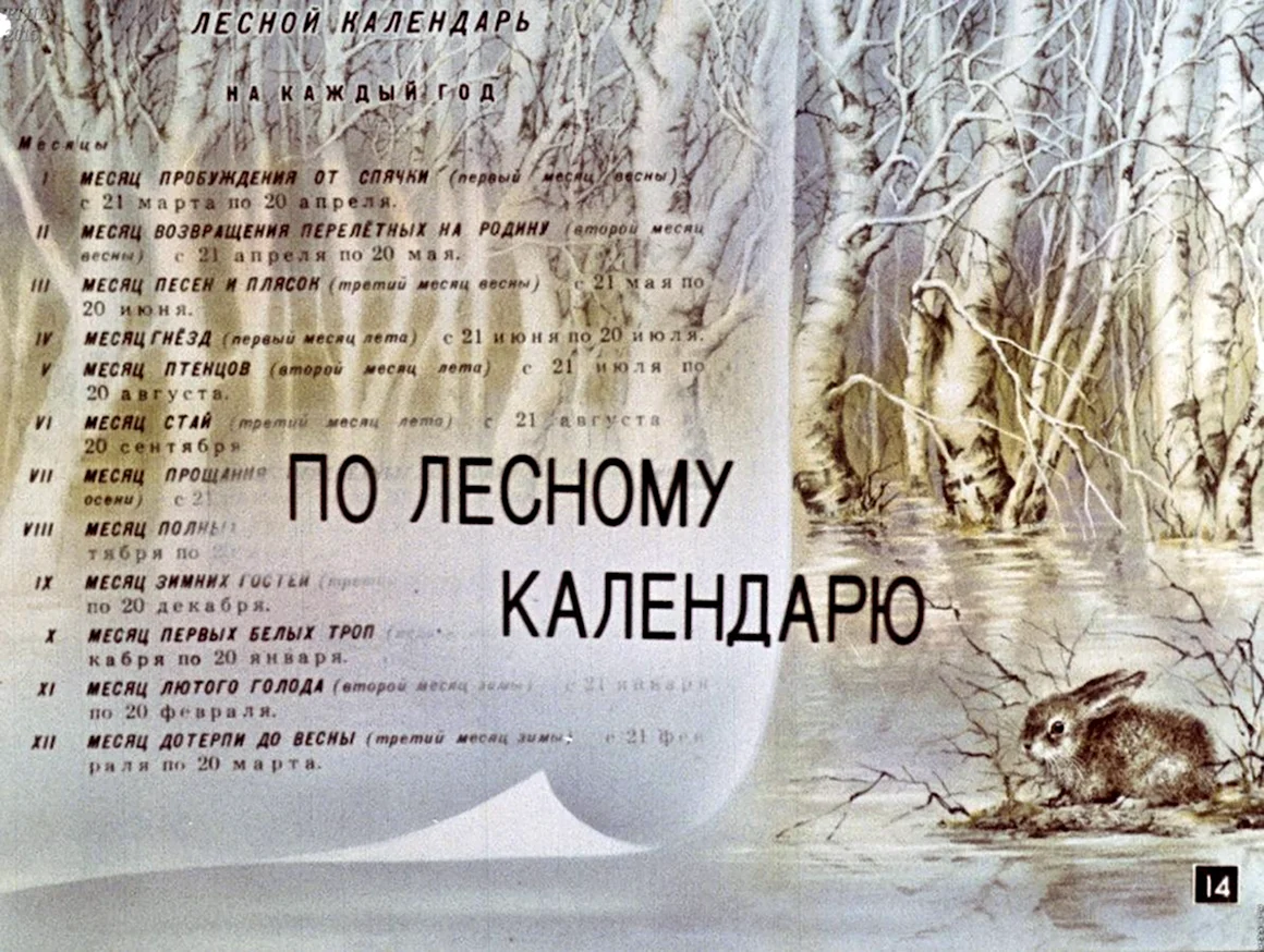 Лесная газета иллюстрации
