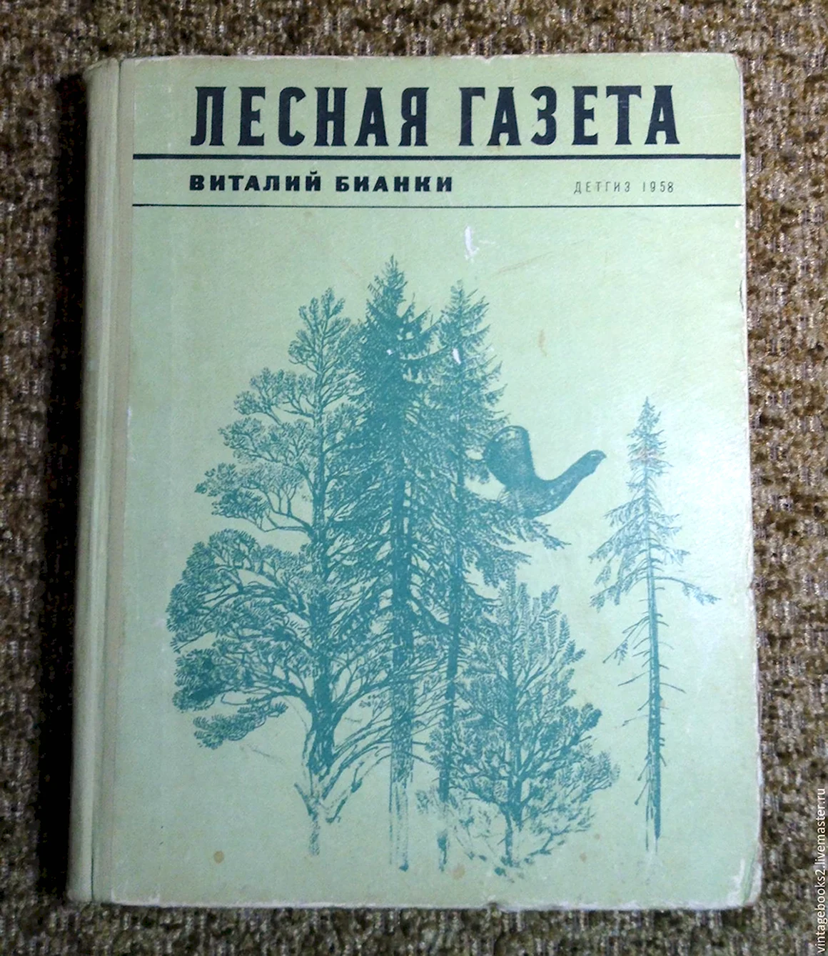Лесная газета картинки Рязанской жизни