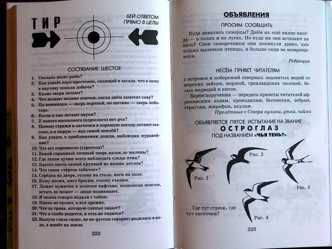 Лесная газета сколько страниц
