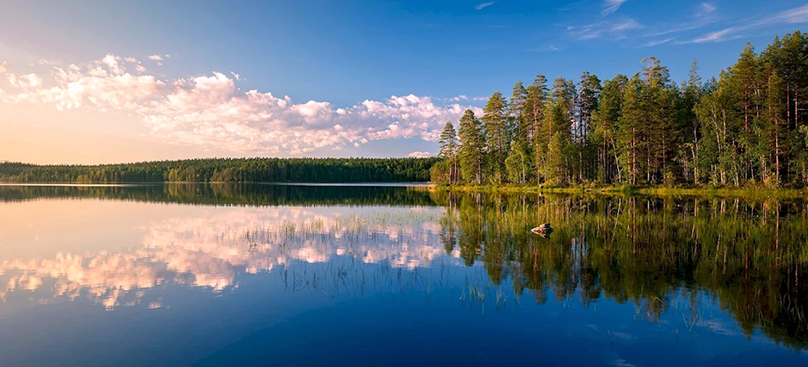 Лесное озеро Финляндия