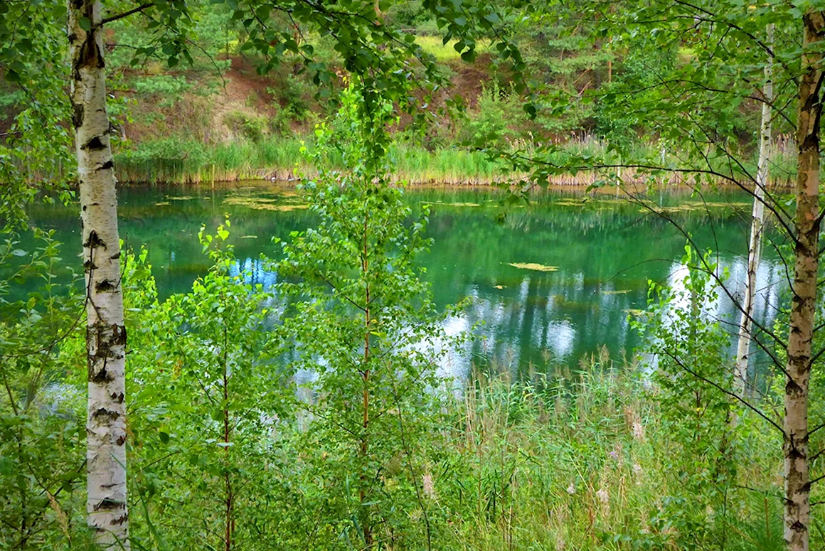 Лесное озеро Рахья