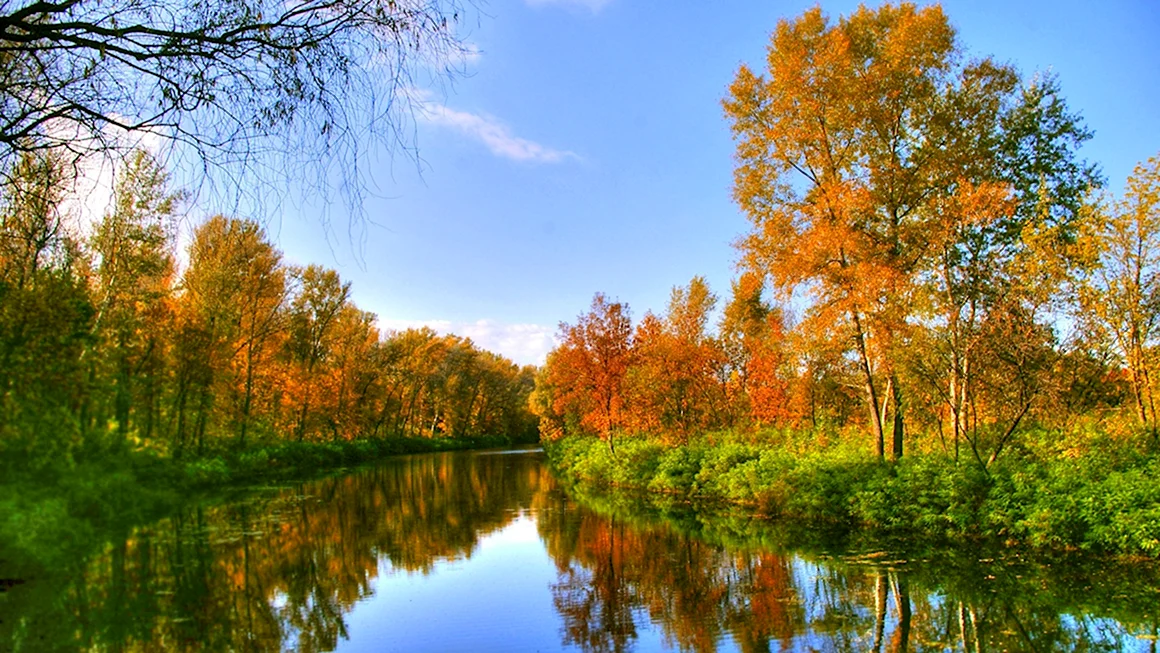Лесное озеро Саранск осень