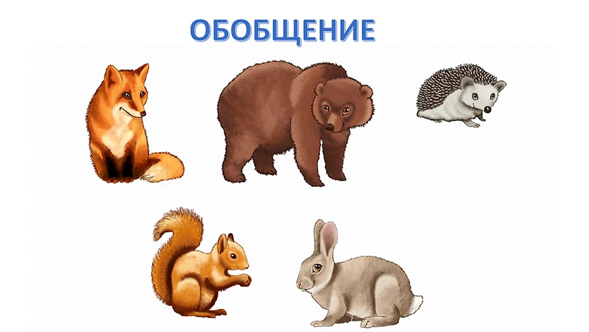 Лесные звери картинки для детей