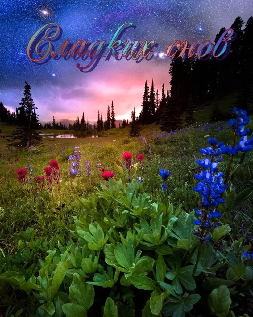 Летняя ночь