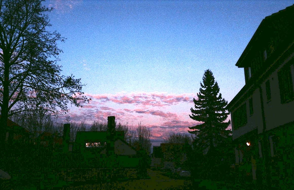 Летняя ночь Эстетика