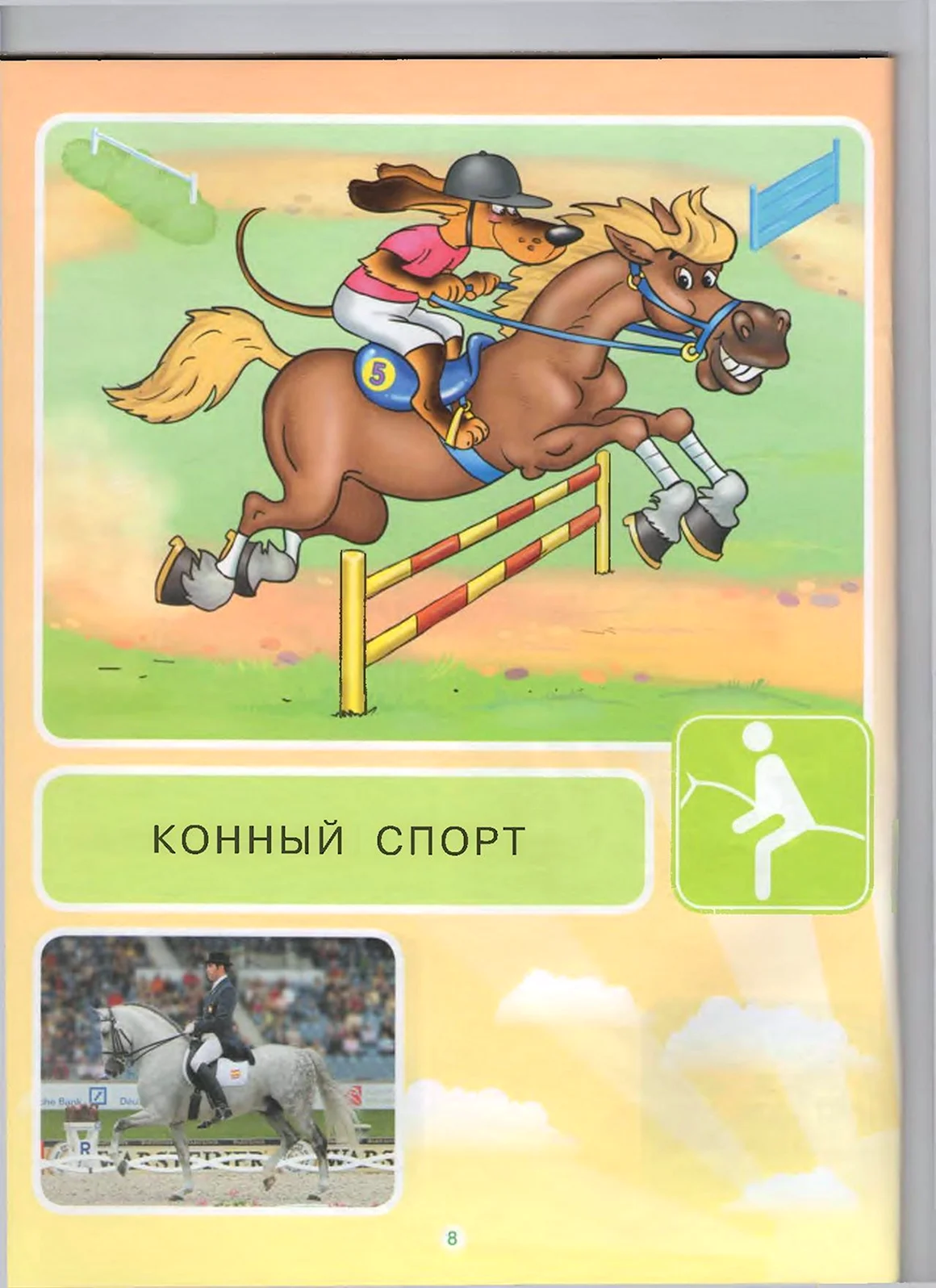 Летние виды спорта