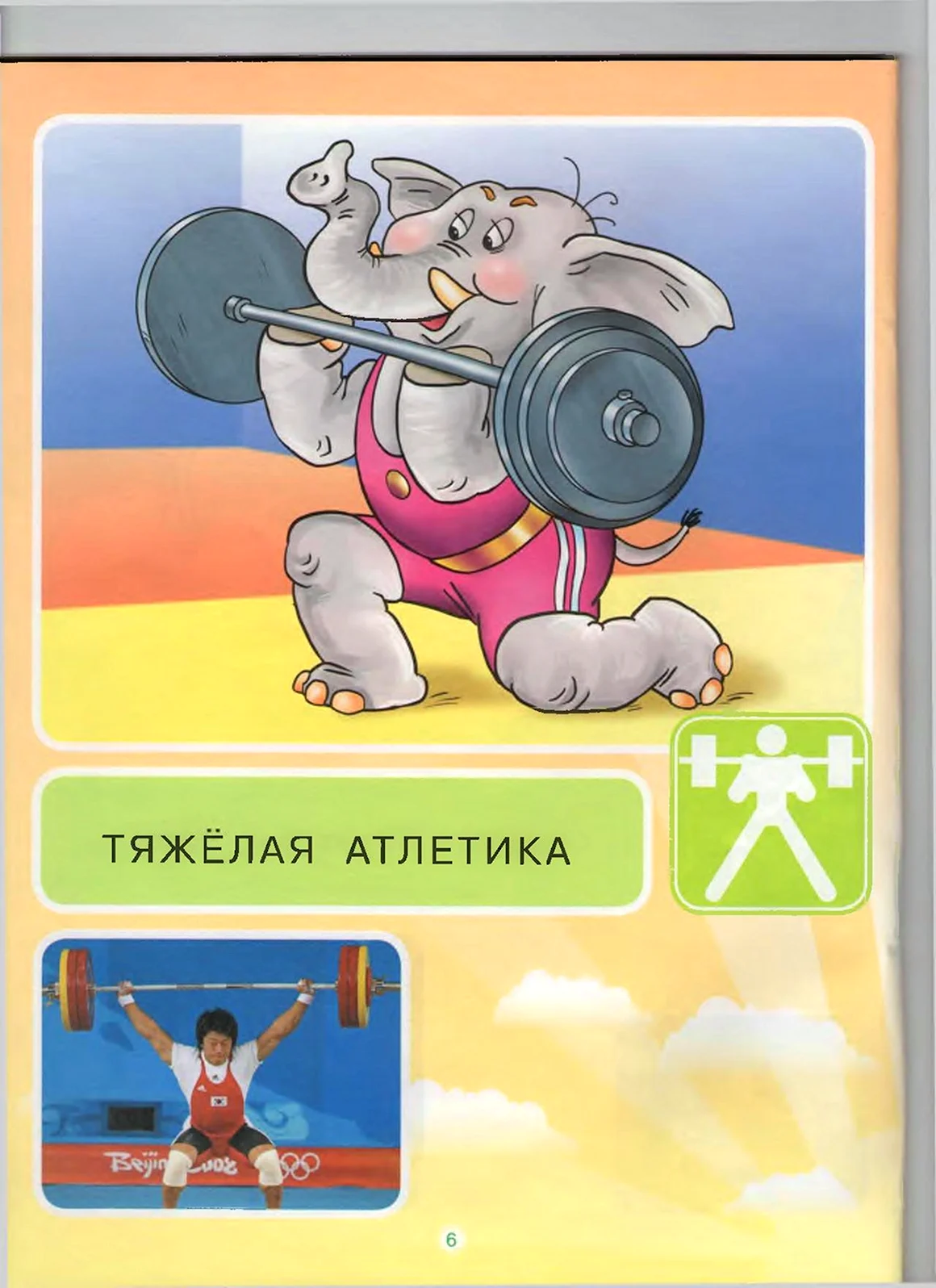 Летние виды спорта
