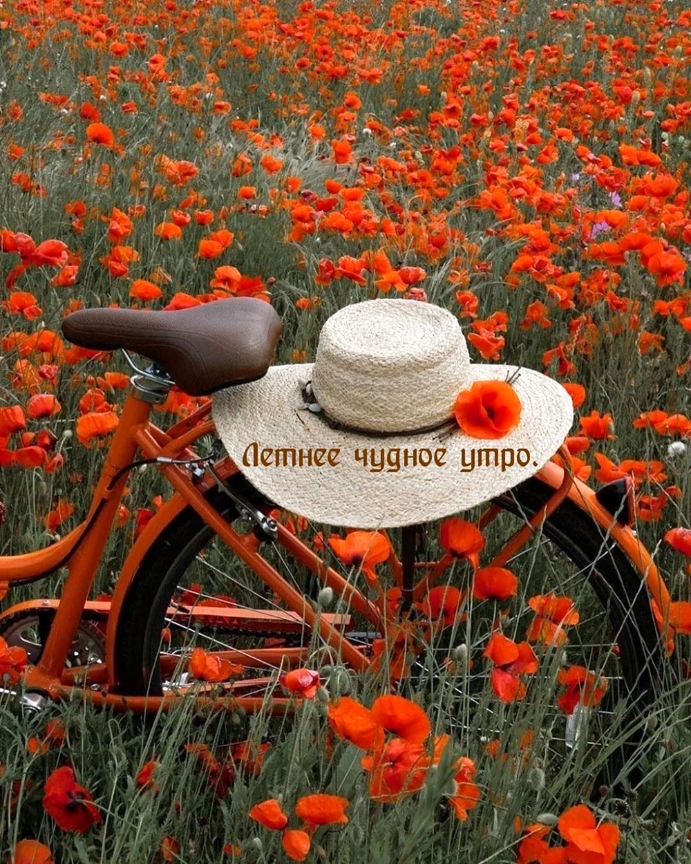 Лето