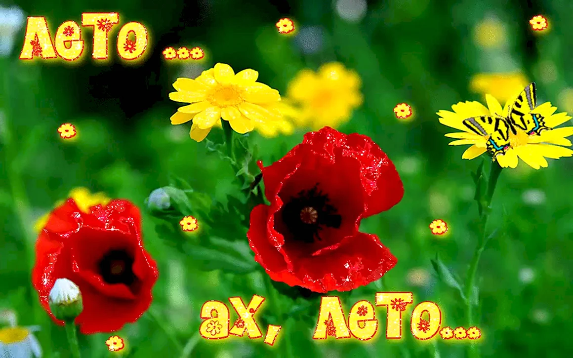 Лето Ах лето