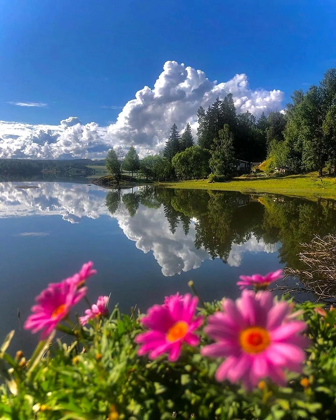 Лето природа