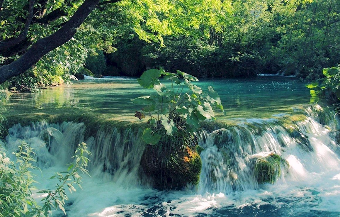 Лето природа вода