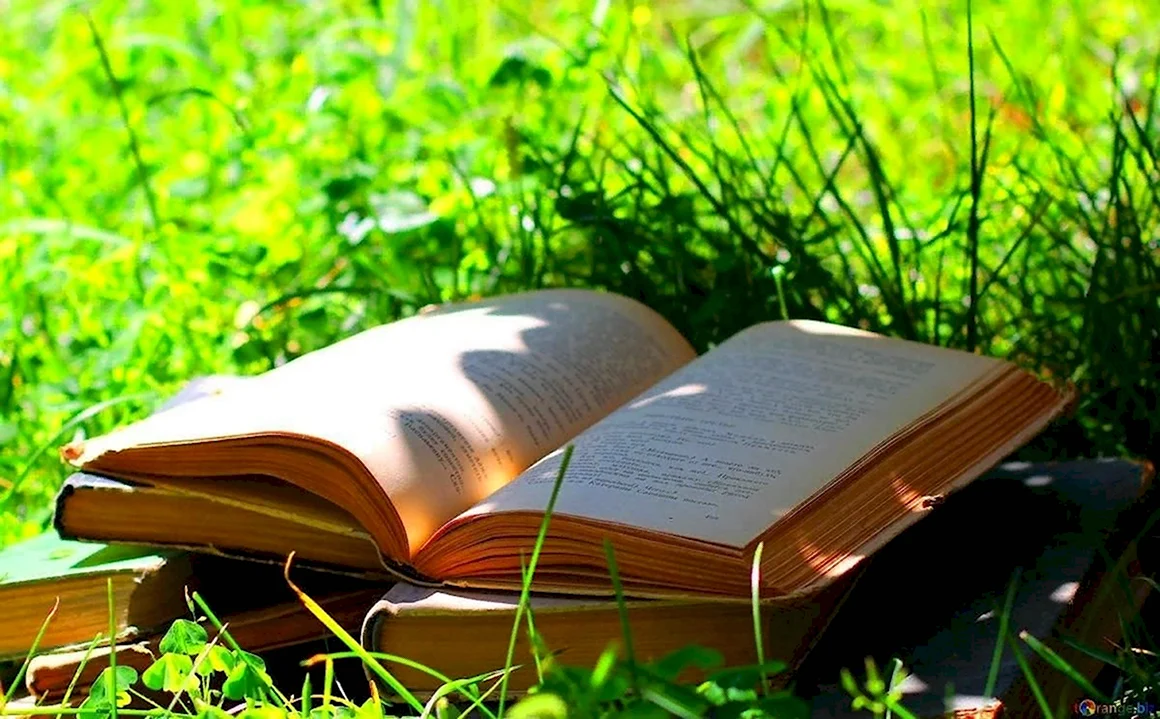 Лето с книгой