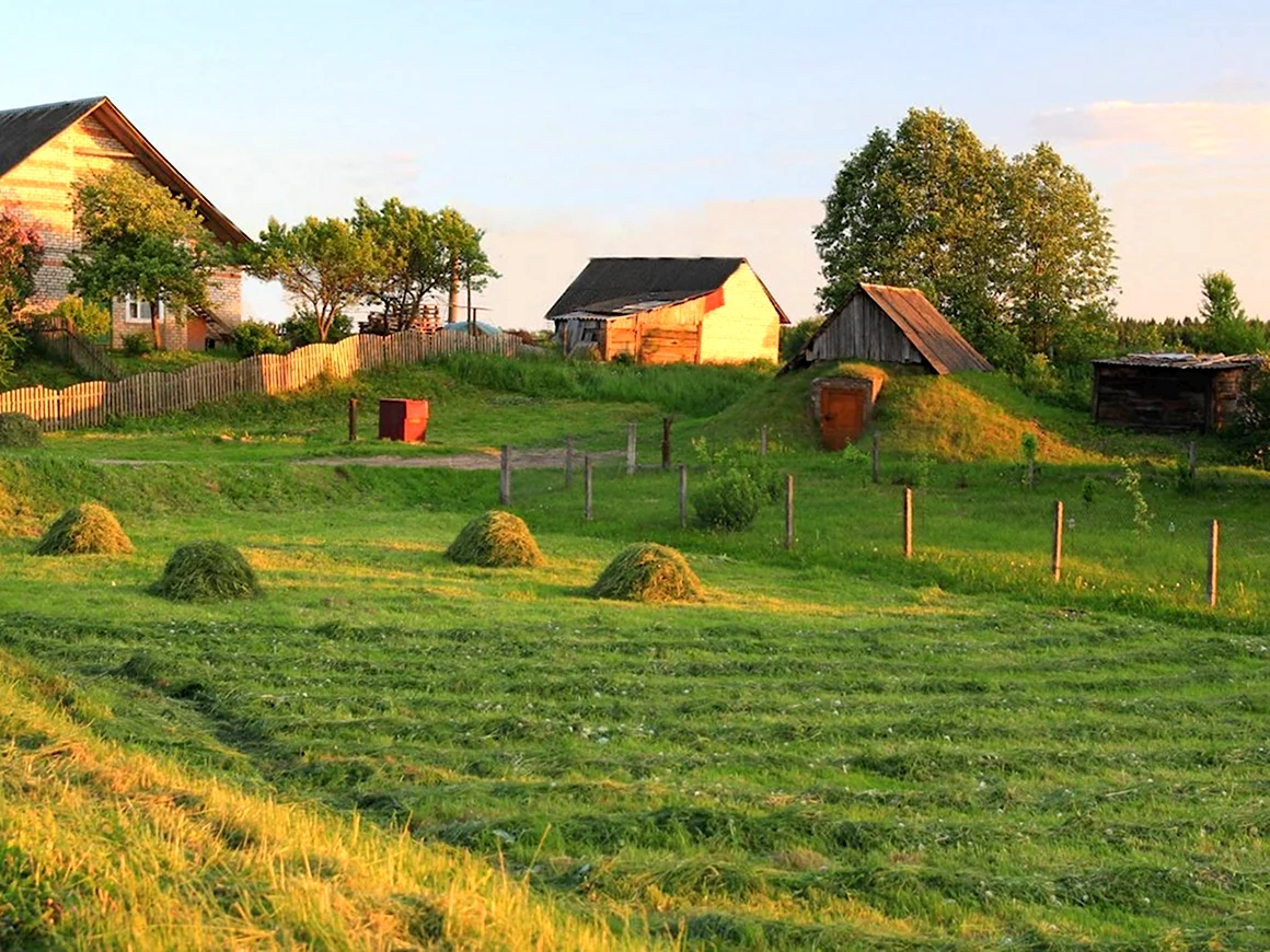 Лето в деревне
