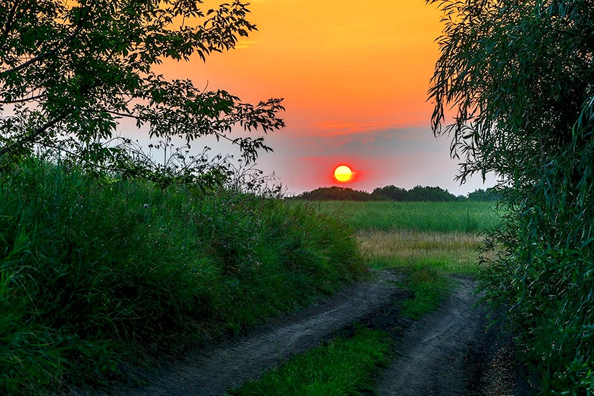 Лето закат