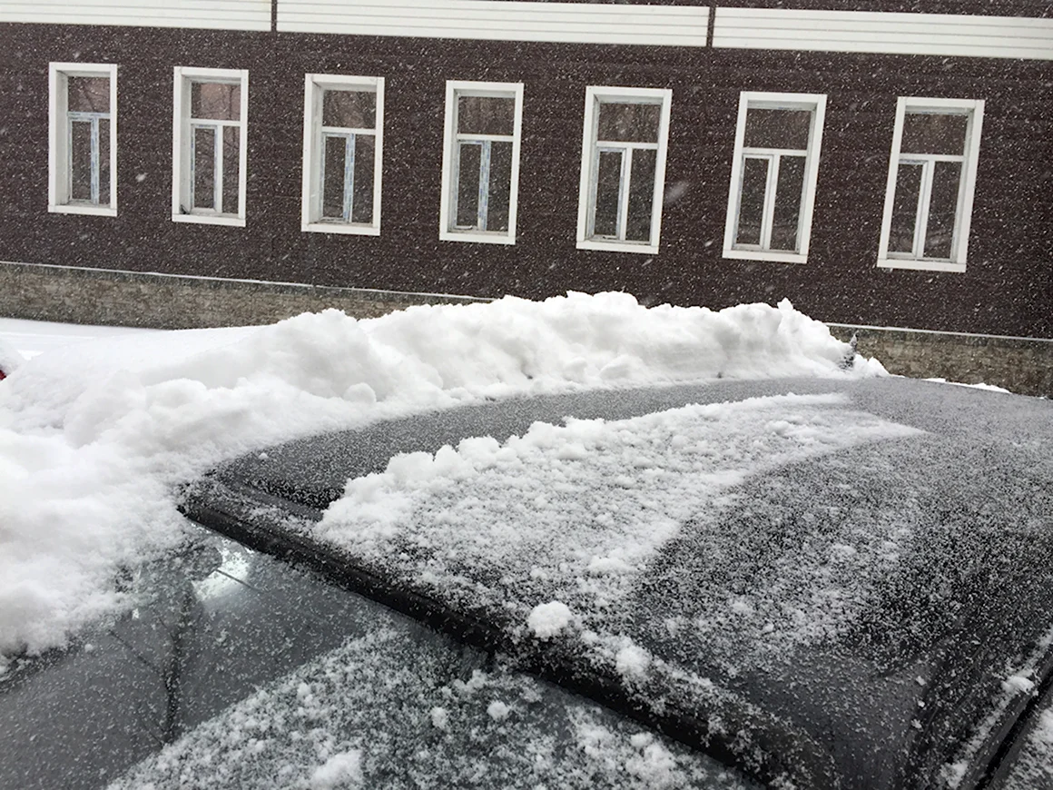 Летом бывает снег