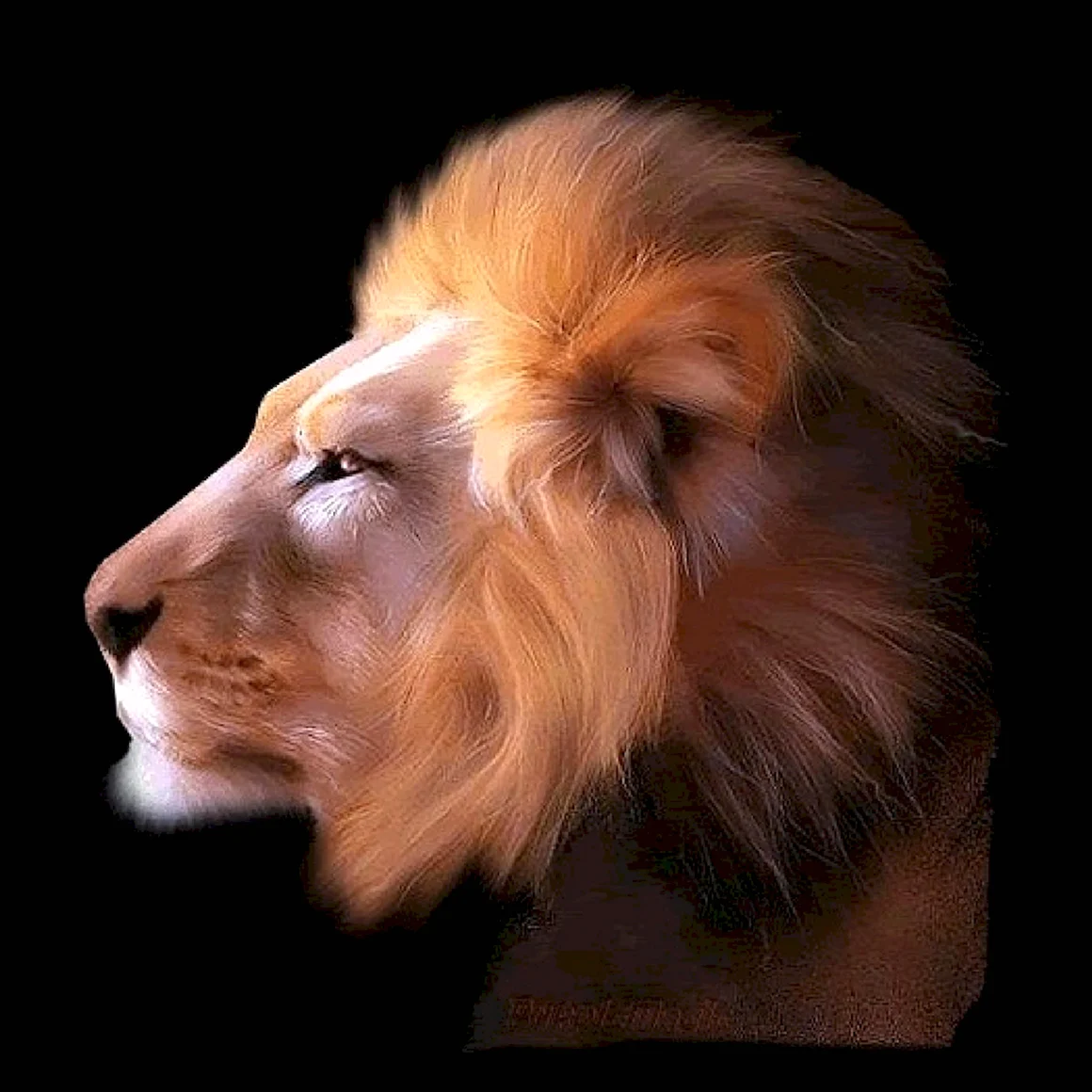 Лев