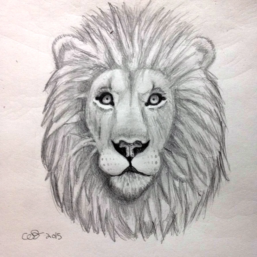 Лев для рисования