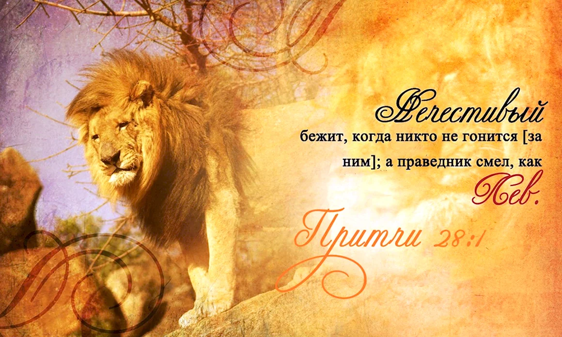 Лев открытка