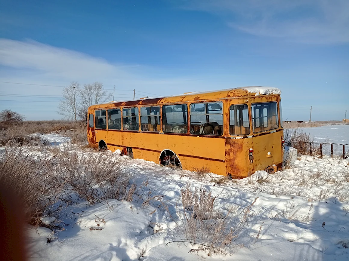 ЛИАЗ 677 Аэродромный