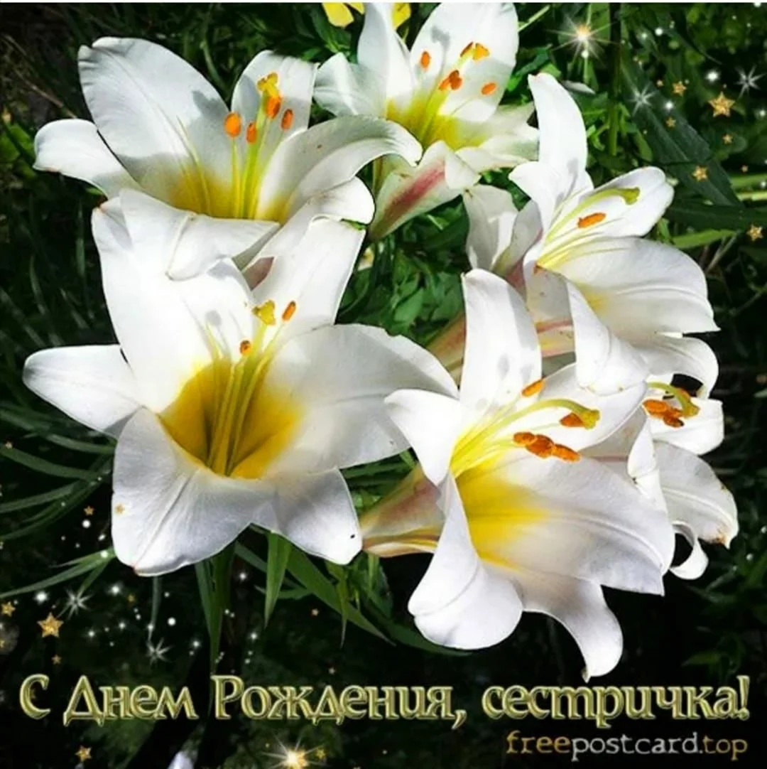 Лилии с пожеланиями