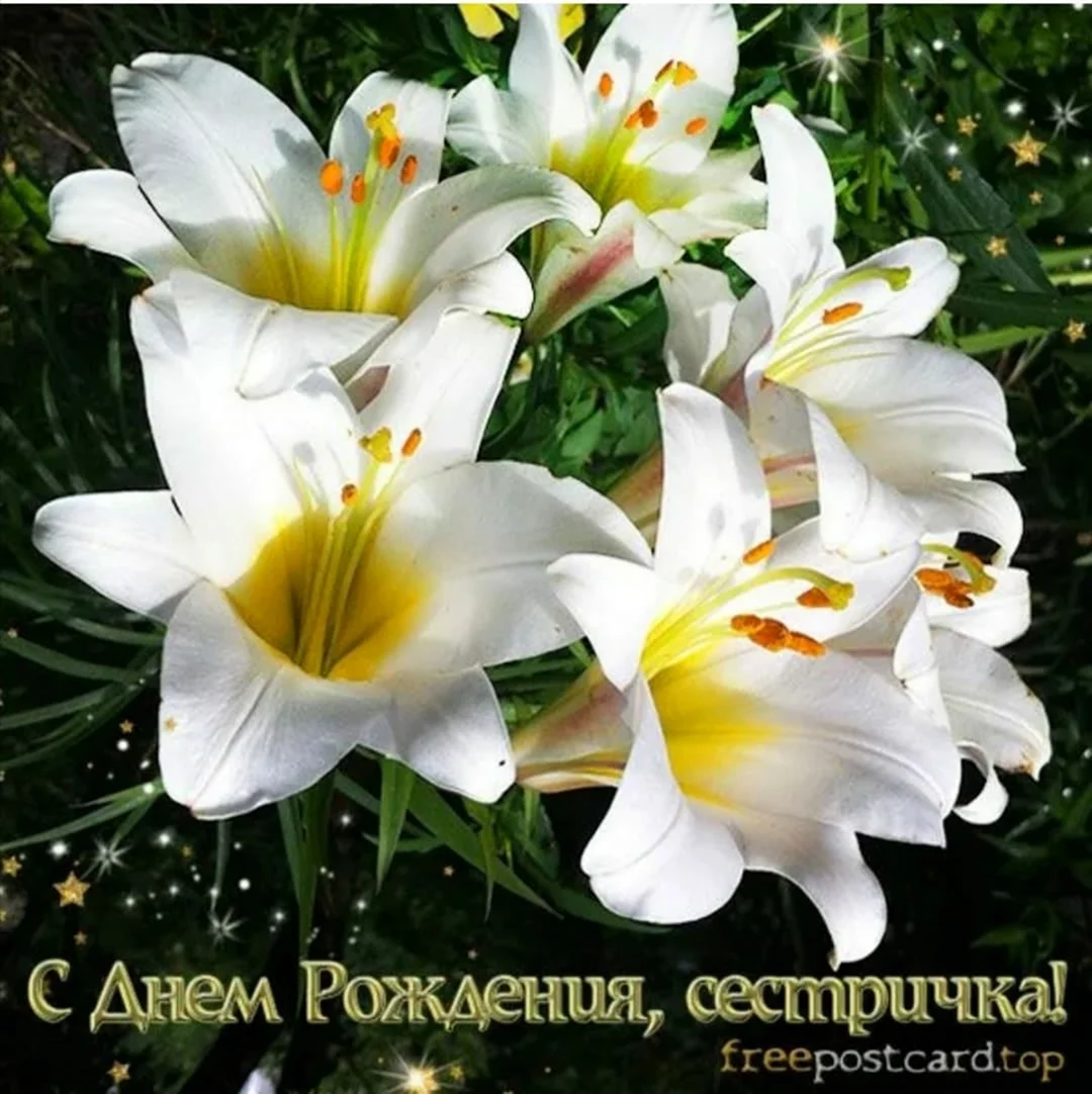 Лилии с пожеланиями