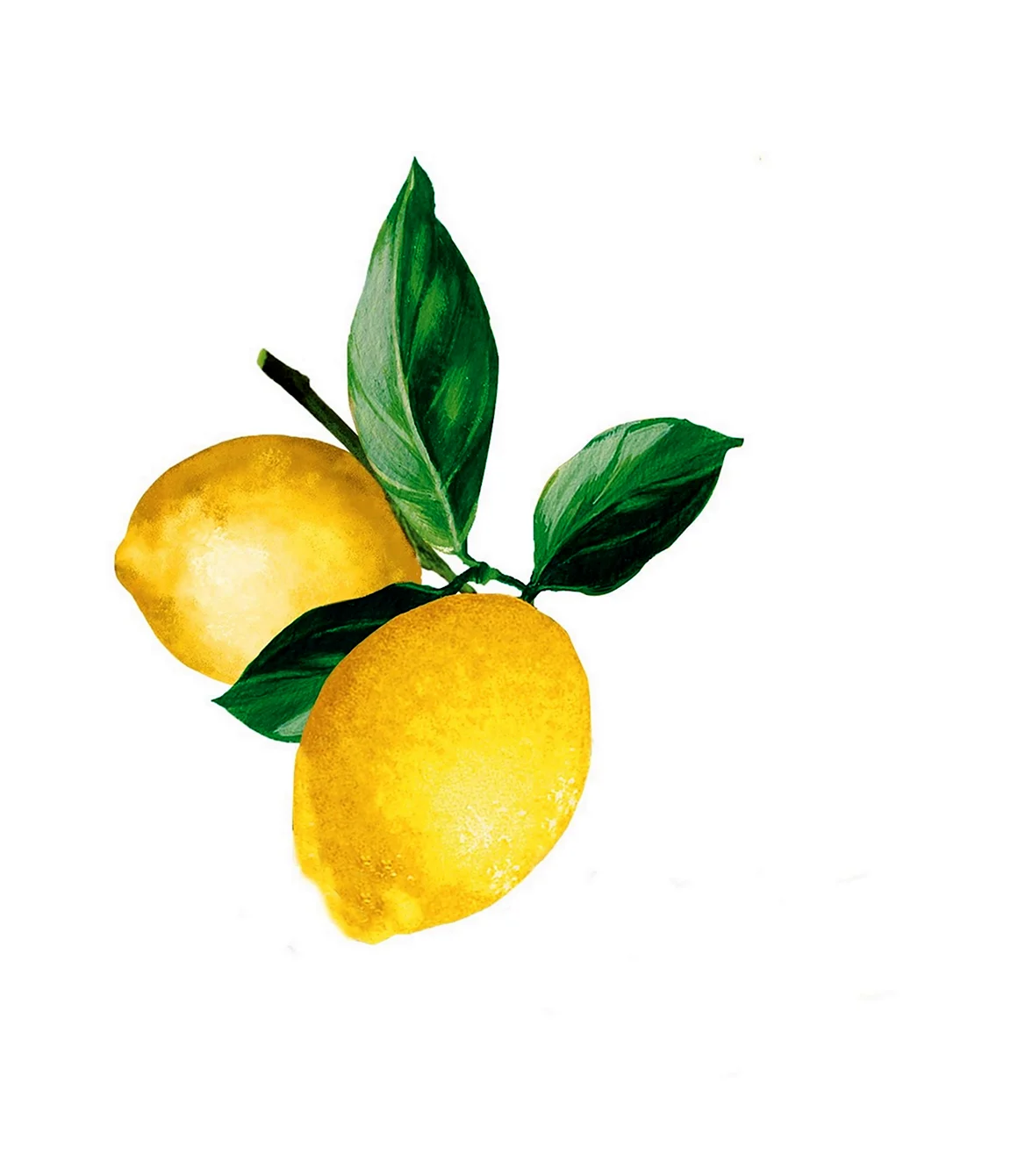 Лимон