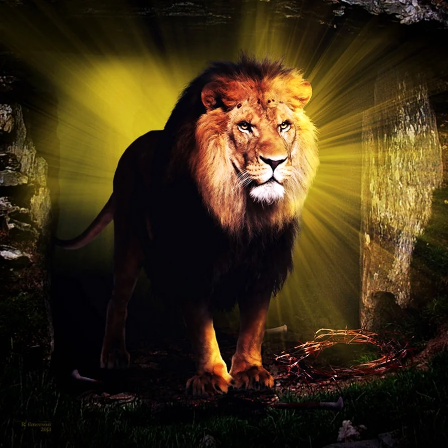 Lion of Judah