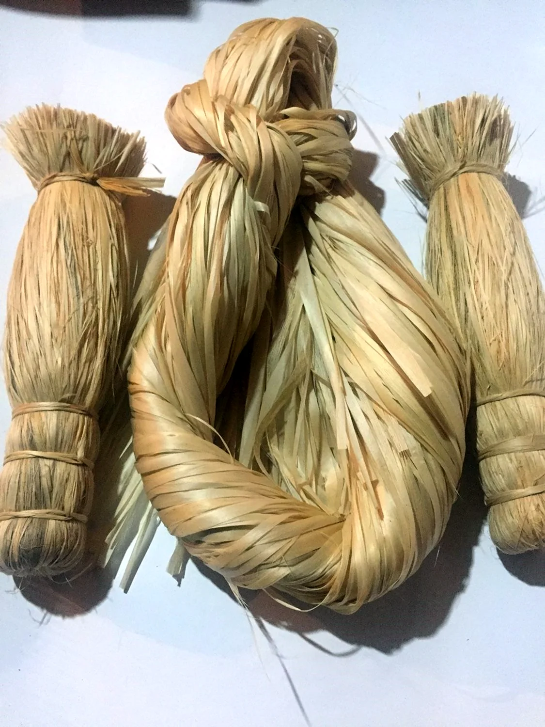 Липа с лыком