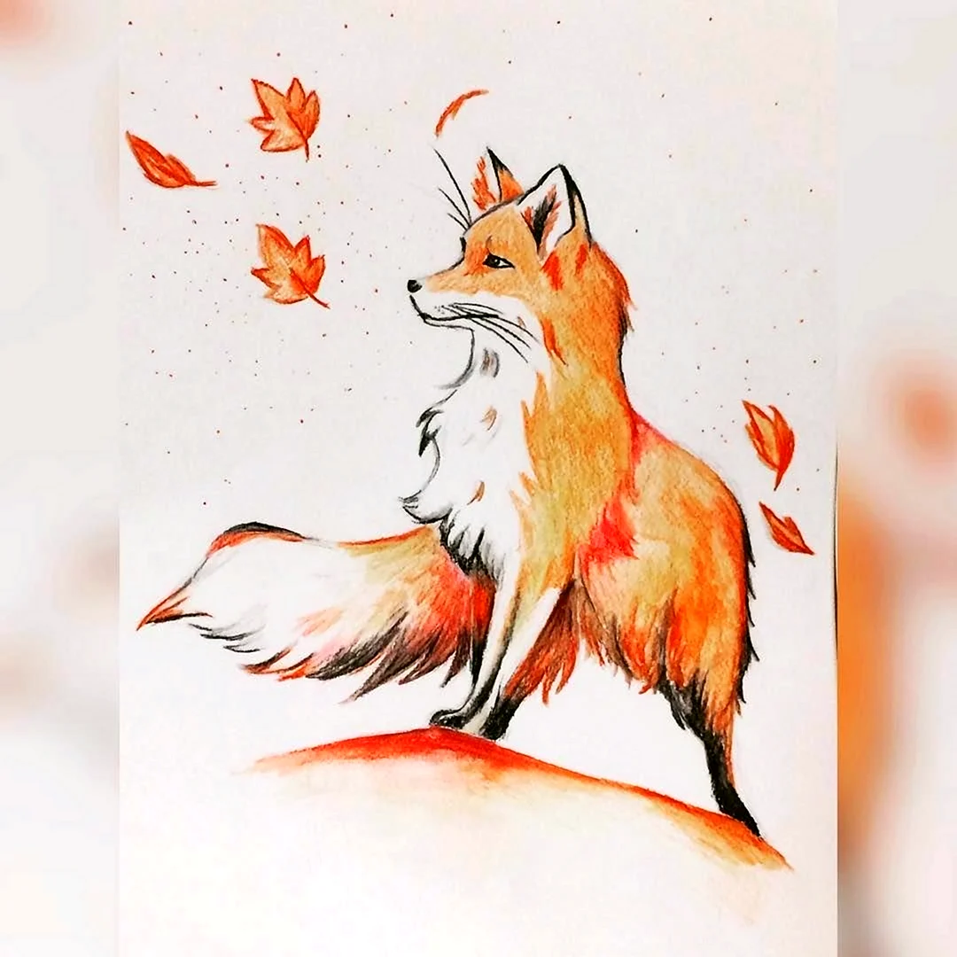 Лиса рисунок