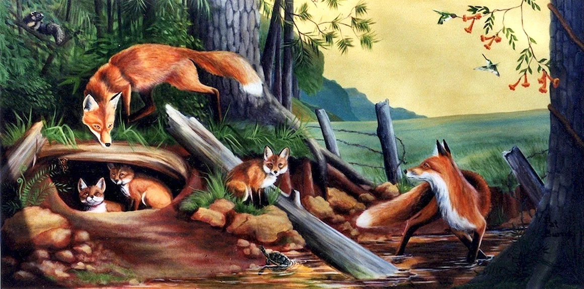 Лисья Нора в лесу