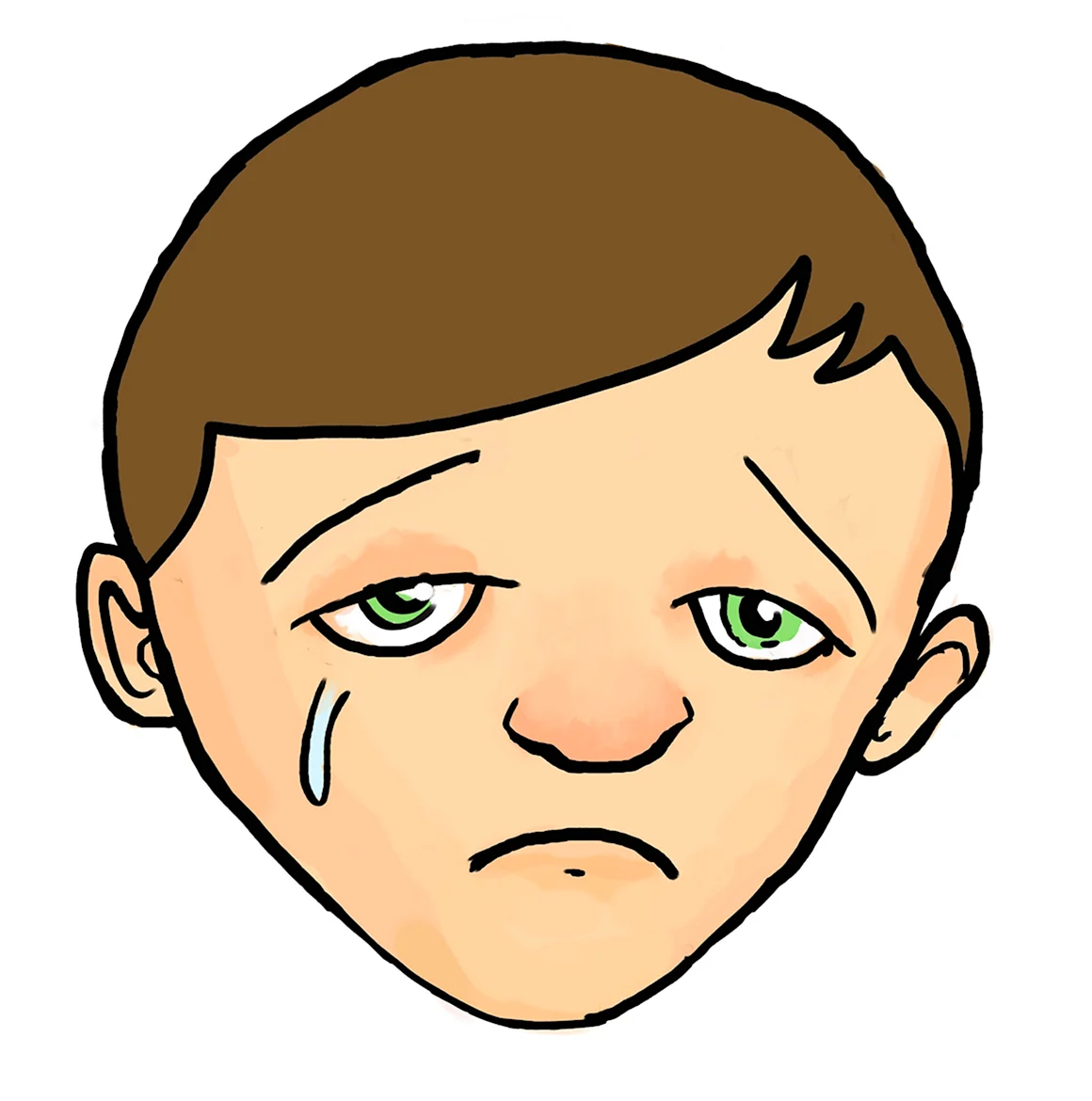 Лицо