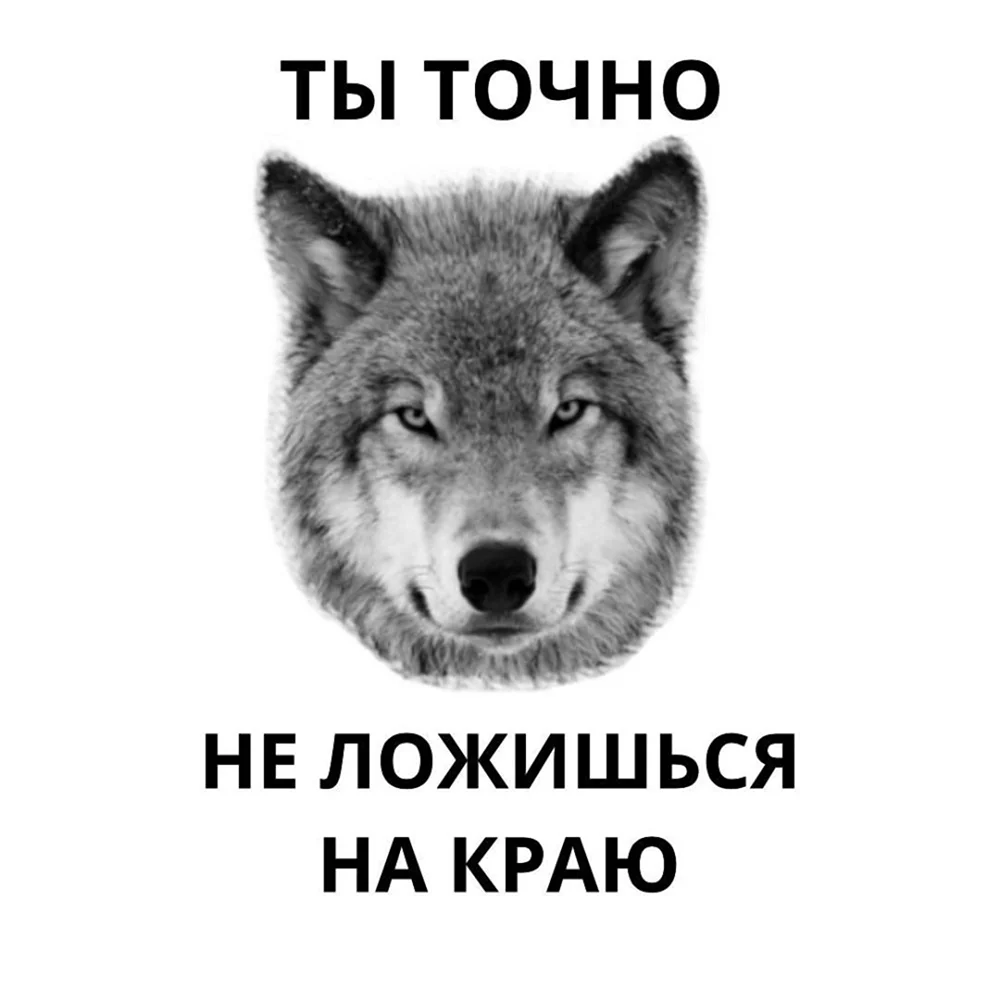 Лицо волка