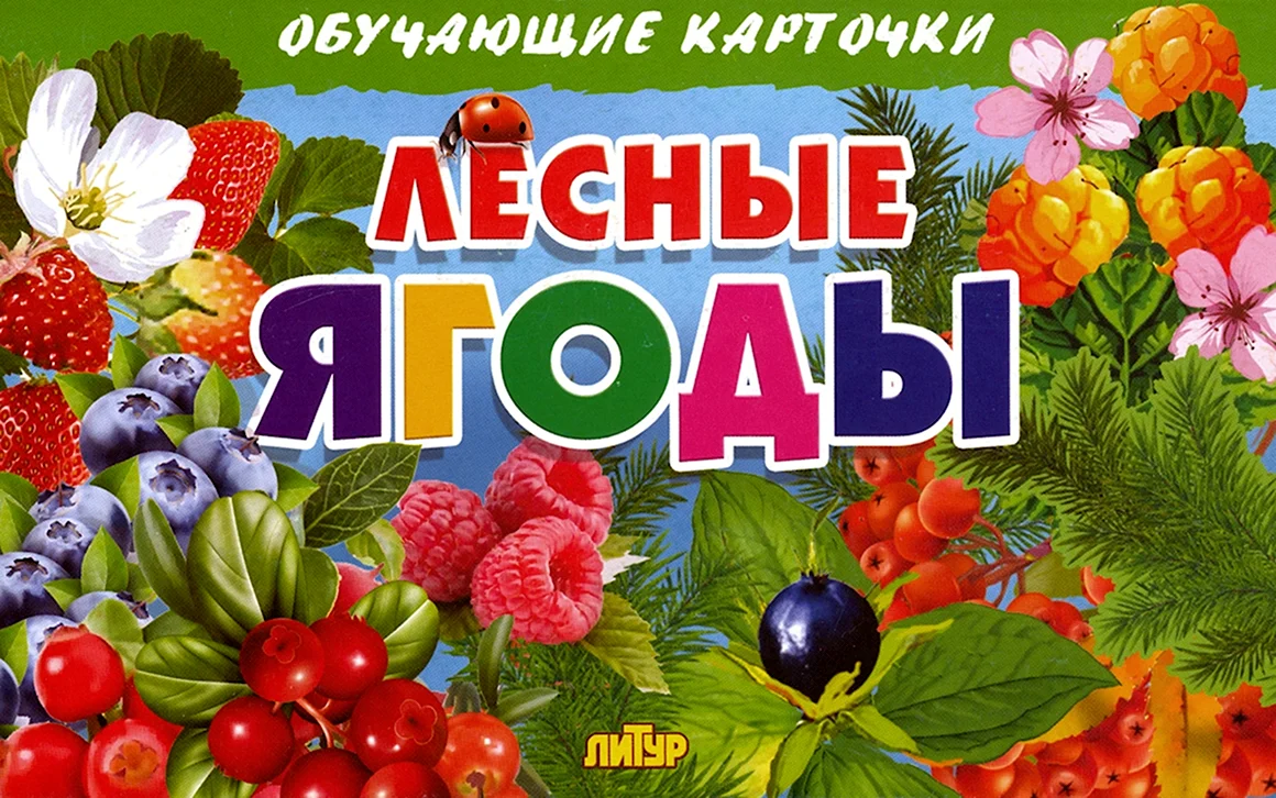 Литур карточки. Лесные ягоды