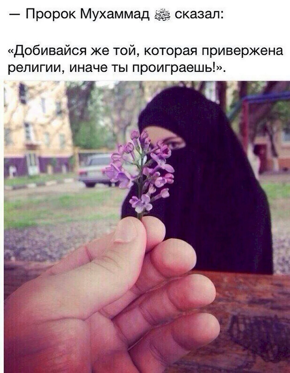 Любите друг друга ради Аллаха