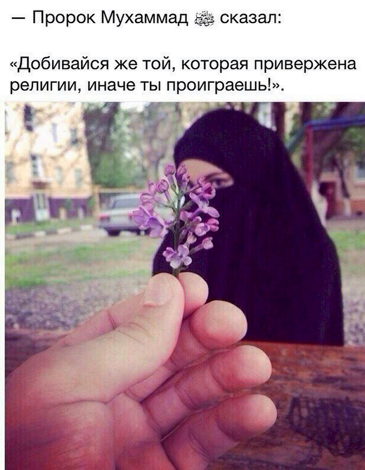Любите друг друга ради Аллаха