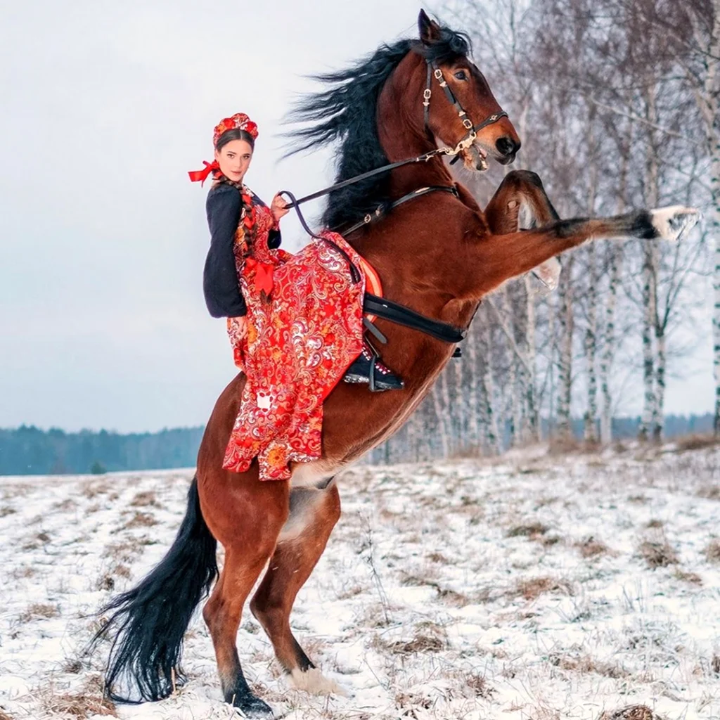 Лошадь на скаку