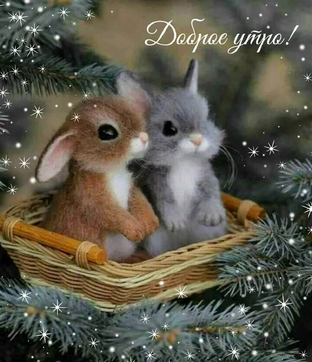 Лучшее лекарство от всех недугов это любовь внимание и тепло