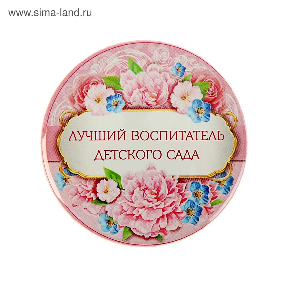 Лучший воспитатель