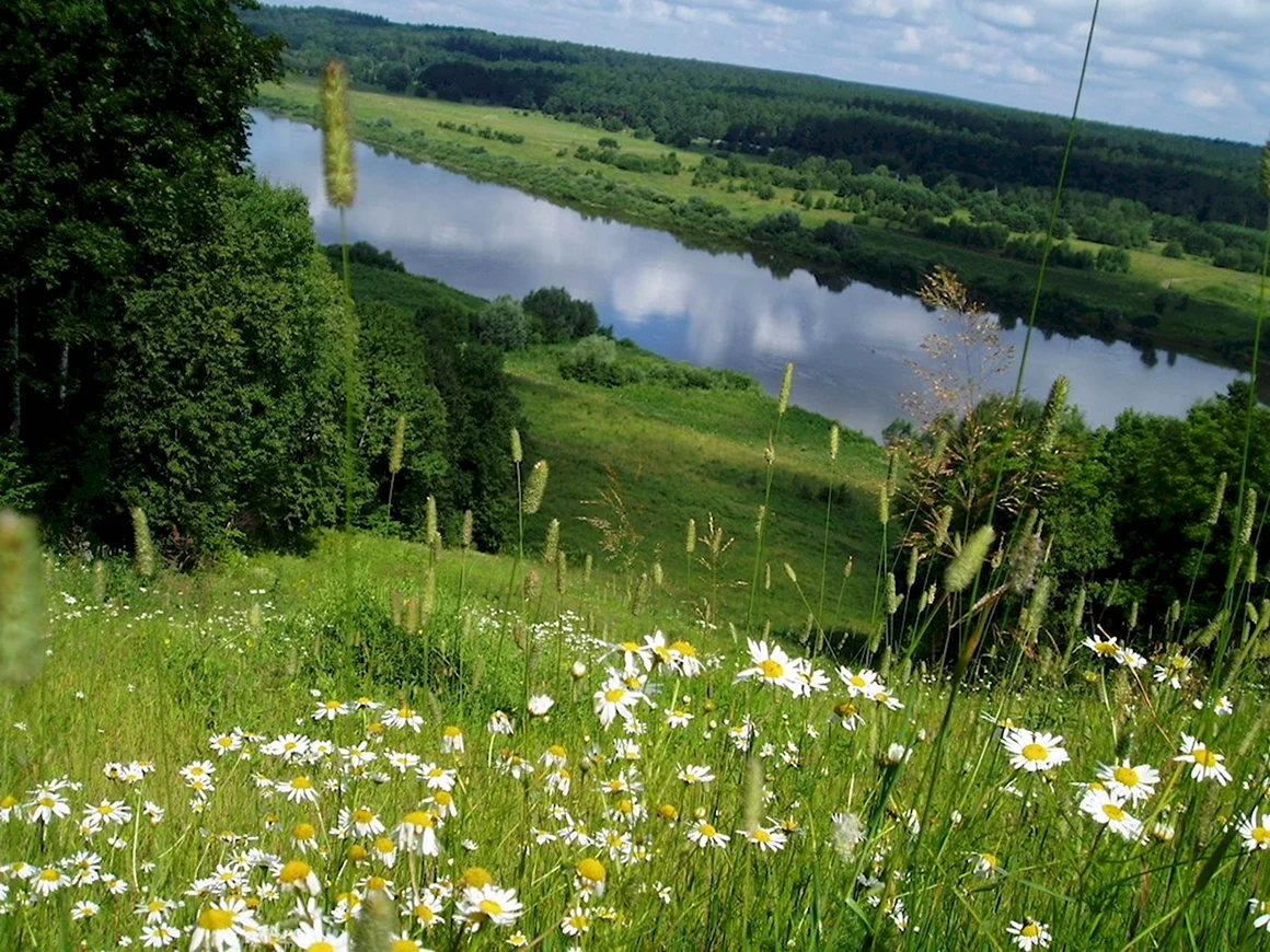 Луга Татарстана