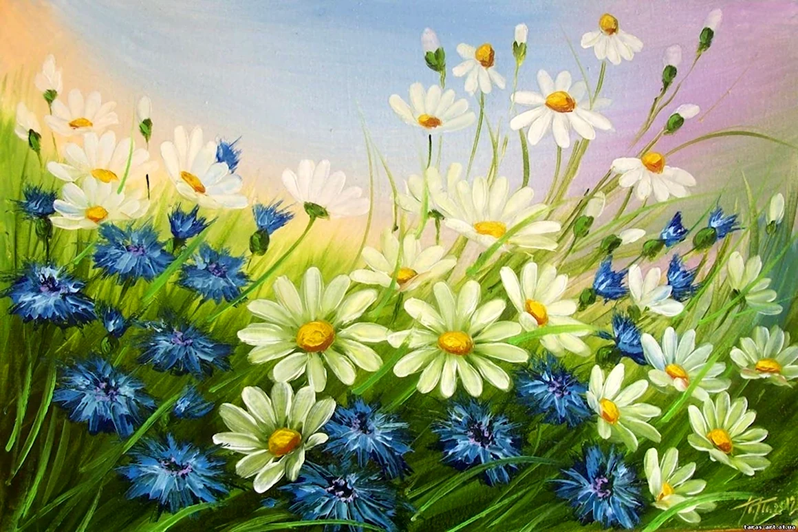 Луговые цветы красками
