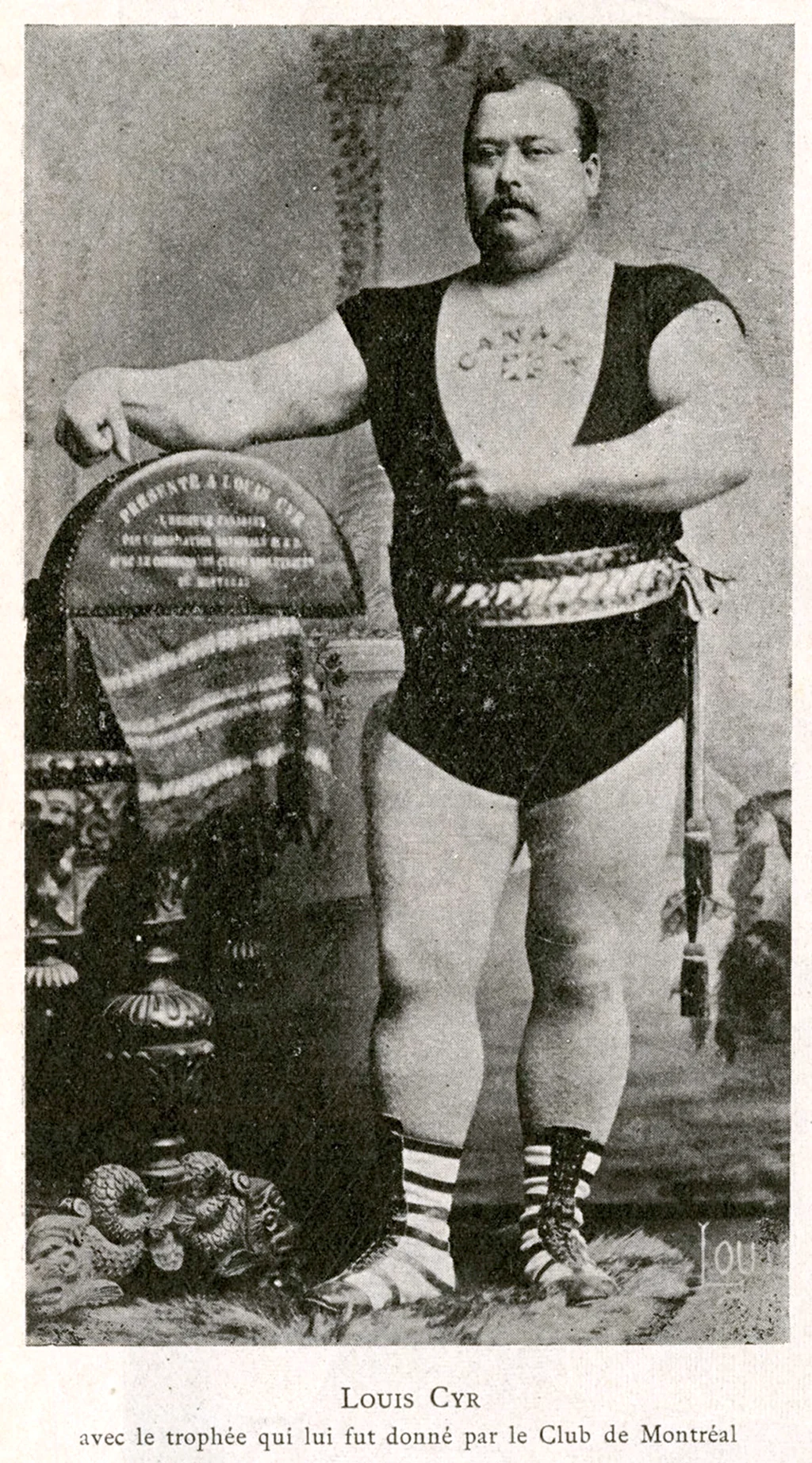 Луис сир