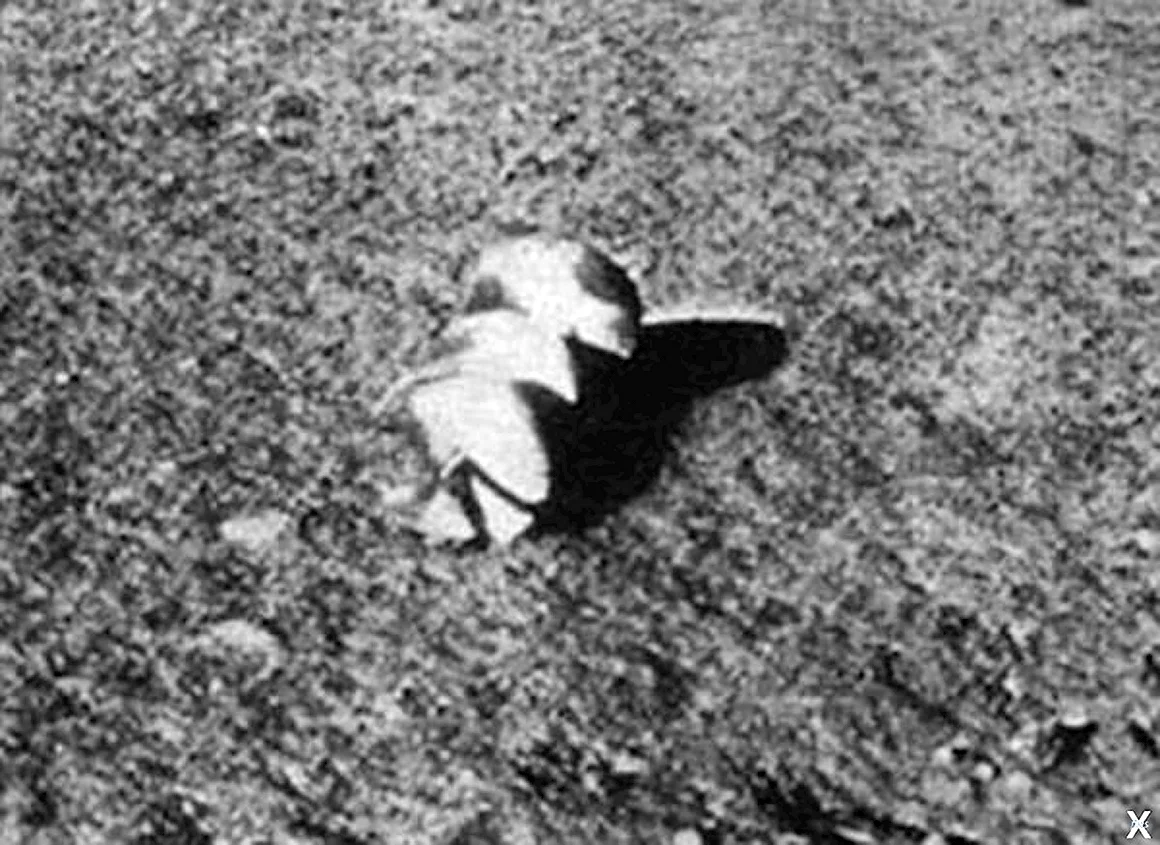 Луна-13 снимки поверхности Луны