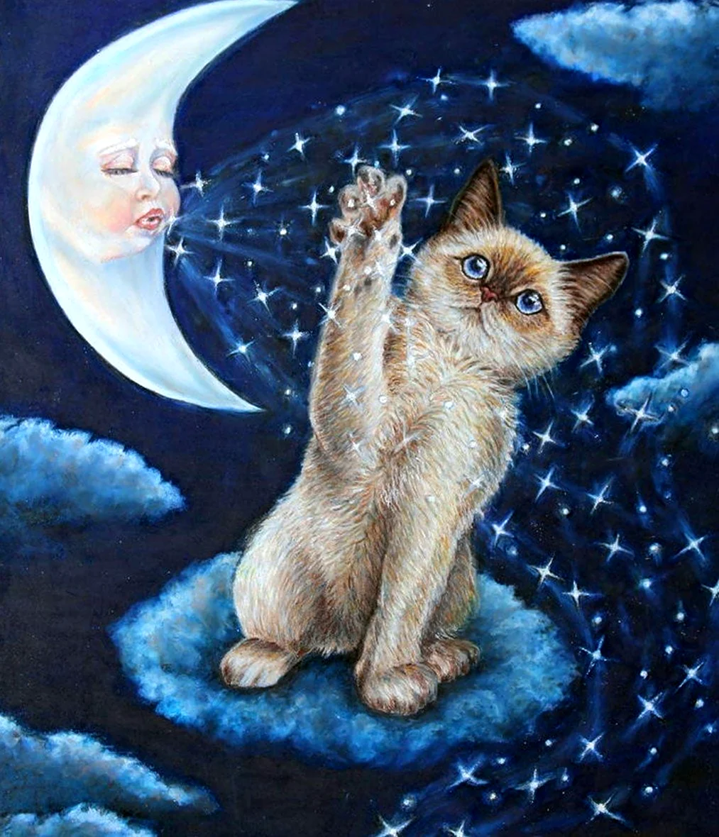 Лунный кот